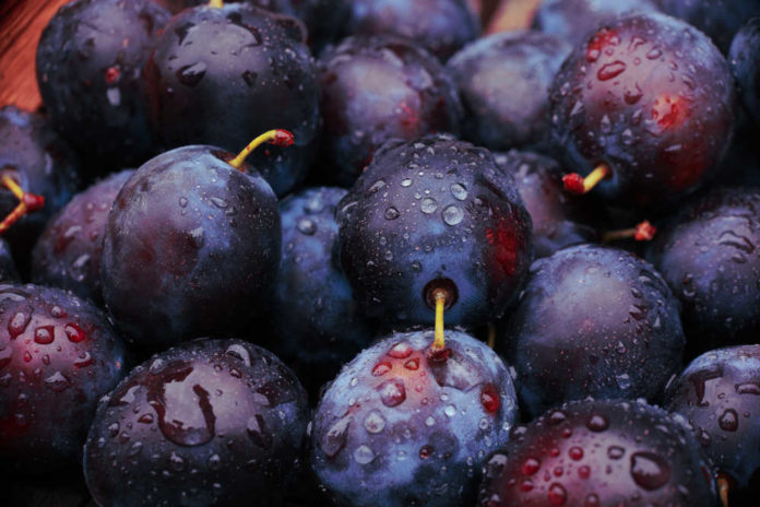 Prunes And Plums: 6 Shocking Health Benefits
